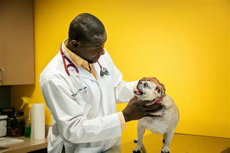 Liberty animal hospital - VCA Kingwood Animal Hospital. 33. $20 off your first exam. Book your pet’s first exam and save $20. read more. in Veterinarians, Pet Sitting, Pet Transportation.